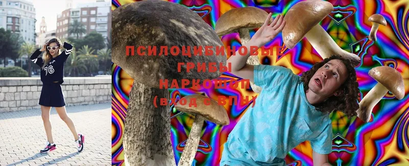 купить   Балей  Псилоцибиновые грибы MAGIC MUSHROOMS 